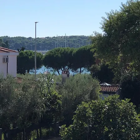 Medulina Marion Medulin