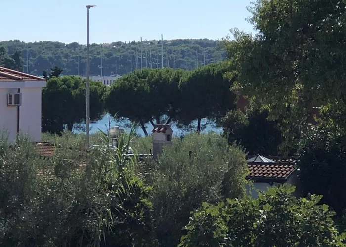 Medulina Marion Medulin