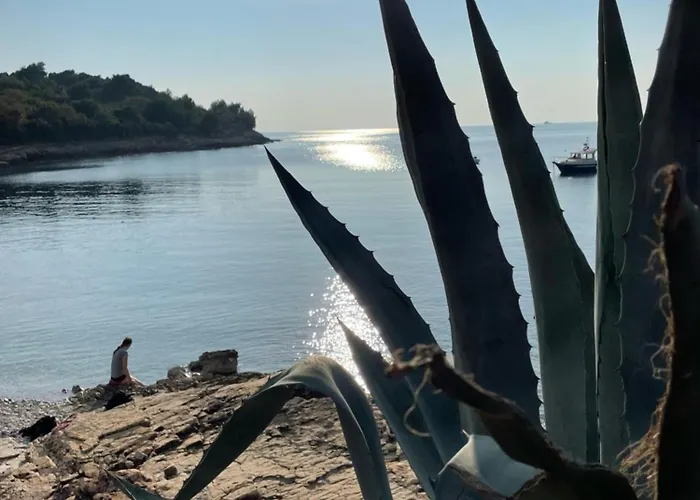 Medulina Marion Appartement